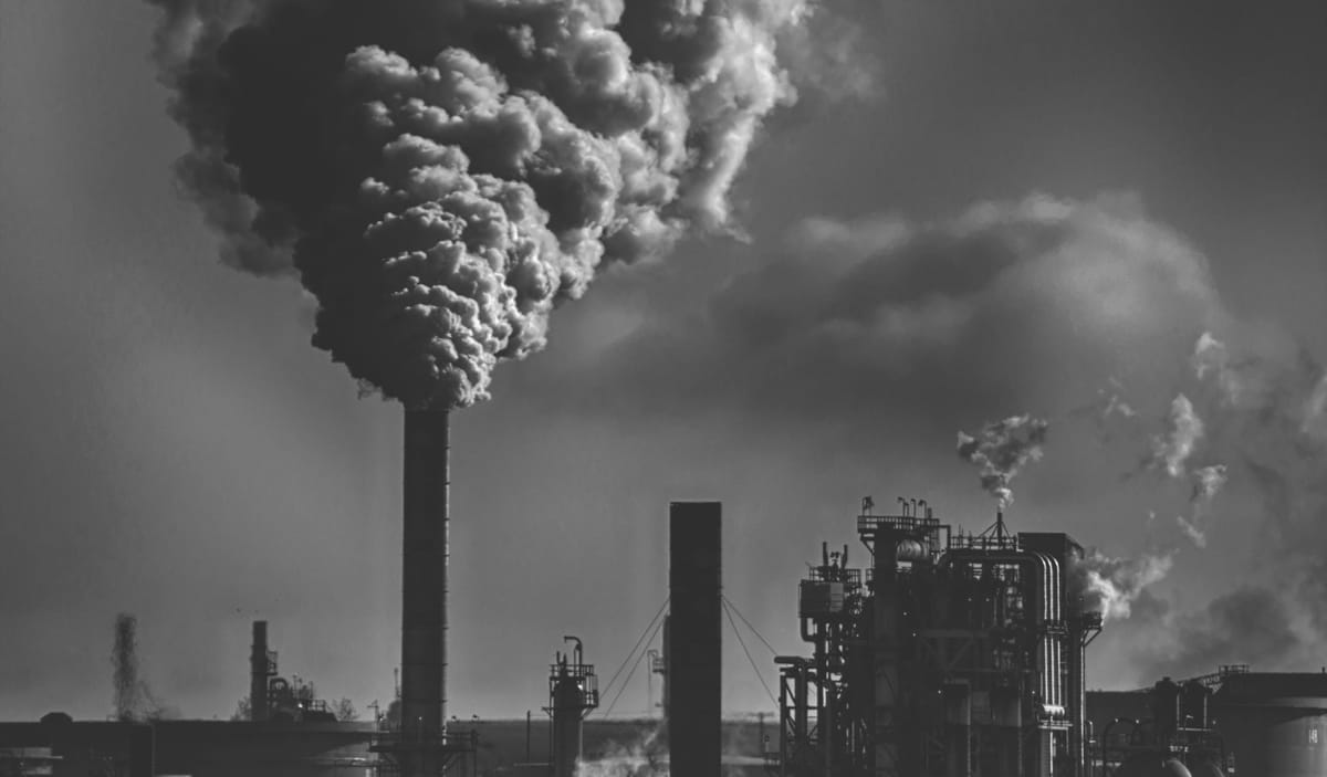 Geschichte der Umwelt: Industrialisierung