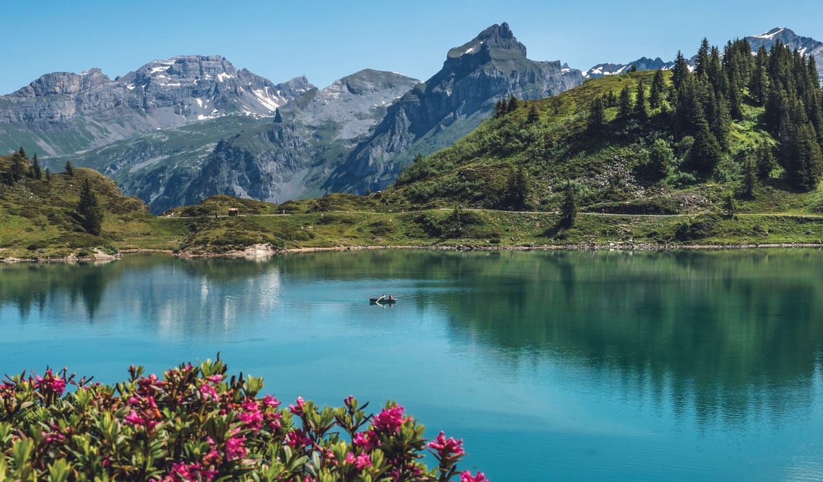 Wie gehen die Schweizer mit dem Umweltschutz während der Klimakrise um?
