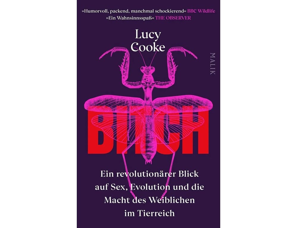Buch "Bitch"