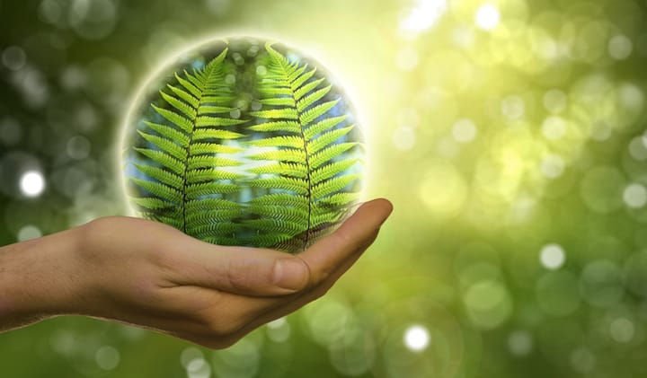 Umweltfreundliche Technologien: Wie grüne Kryptowährungen die Energiewende unterstützen