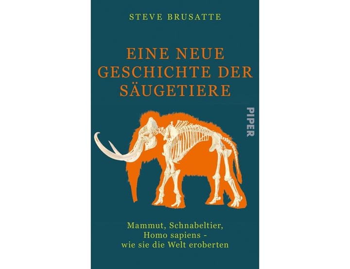 Buch «Eine neue Geschichte der Säugetiere»