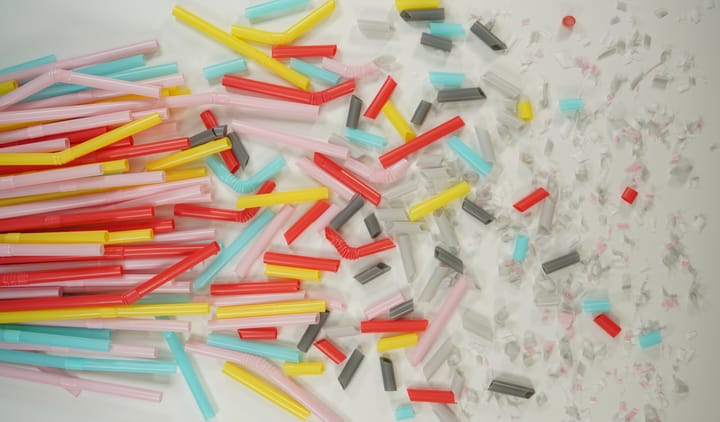 Rädertierchen produzieren Nanoplastik
