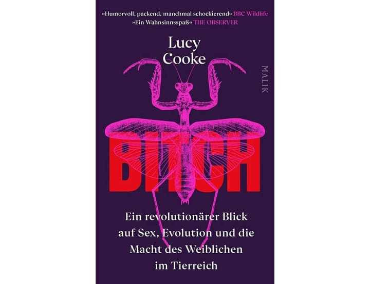 Buch "Bitch"