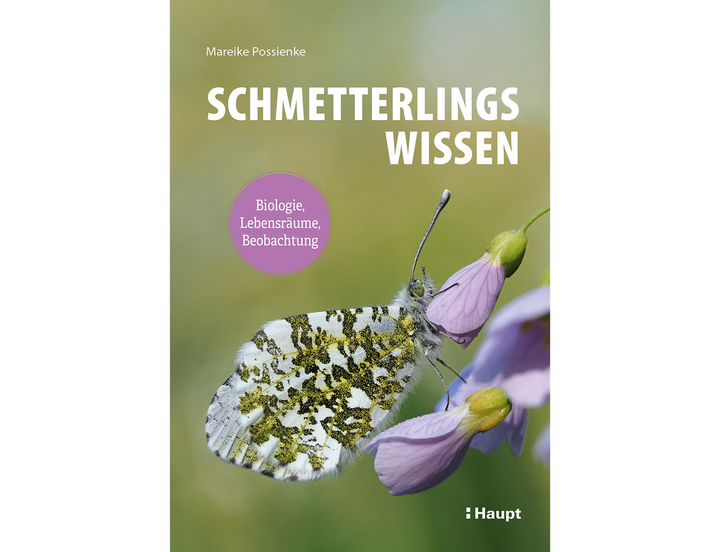 Buch "Schmetterlingswissen"
